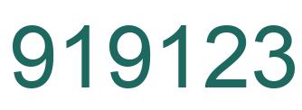Number 919123 green image