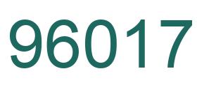Número 96017 imagen verde