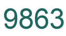 Number 9863 green image