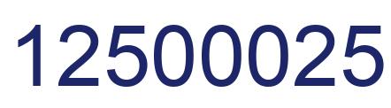 Number 12500025 blue image