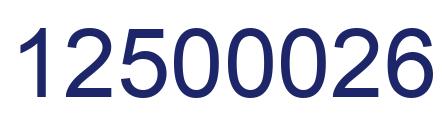 Number 12500026 blue image
