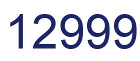 Number 12999 blue image