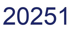 Número 20251 imagen azul