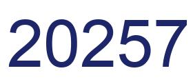 Number 20257 blue image