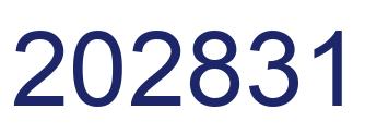 Number 202831 blue image