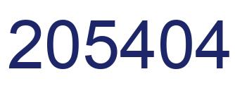 Number 205404 blue image