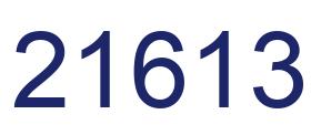 Number 21613 blue image