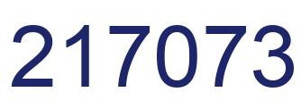 Number 217073 blue image