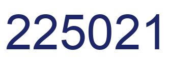 Number 225021 blue image