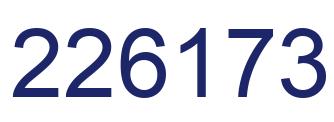 Number 226173 blue image