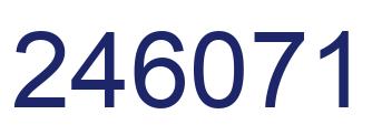 Number 246071 blue image