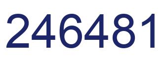 Number 246481 blue image