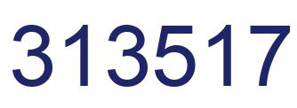 Number 313517 blue image