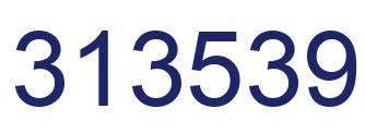 Number 313539 blue image