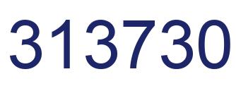 Number 313730 blue image