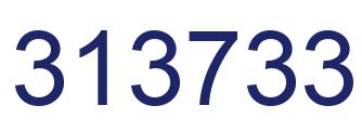 Number 313733 blue image