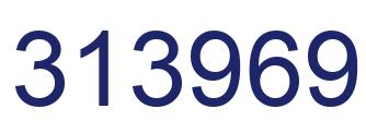 Number 313969 blue image