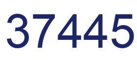 Number 37445 blue image