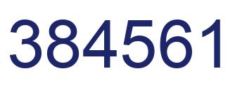 Number 384561 blue image