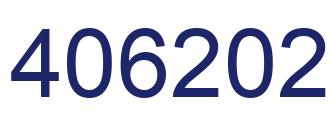 Number 406202 blue image