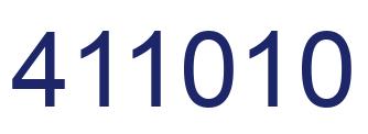 Number 411010 blue image