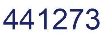 Number 441273 blue image