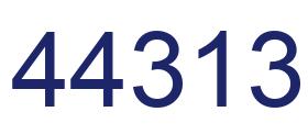 Número 44313 imagen azul