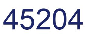 Number 45204 blue image