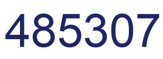 Number 485307 blue image