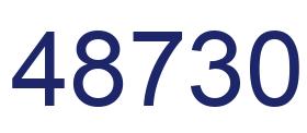 Number 48730 blue image