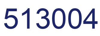 Number 513004 blue image