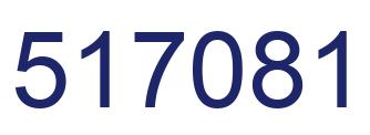 Number 517081 blue image