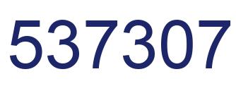 Number 537307 blue image
