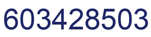 Number 603428503 blue image
