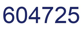 Number 604725 blue image