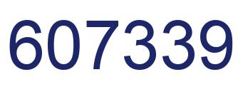 Number 607339 blue image