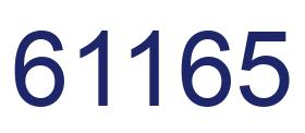 Number 61165 blue image