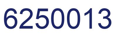 Number 6250013 blue image