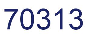 Number 70313 blue image
