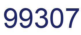 Number 99307 blue image
