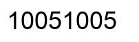 Number 10051005 black image