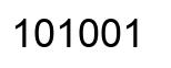 Número 101001 imagen negro