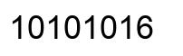 Número 10101016 imagen negro