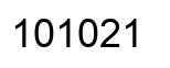 Número 101021 imagen negro