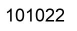 Número 101022 imagen negro