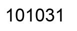 Number 101031 black image