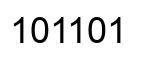 Number 101101 black image