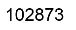 Number 102873 black image
