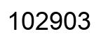 Número 102903 imagen negro
