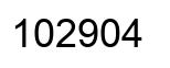 Número 102904 imagen negro